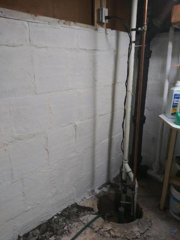 Open Sump Pumps