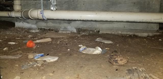 Before Crawl Space Remediation