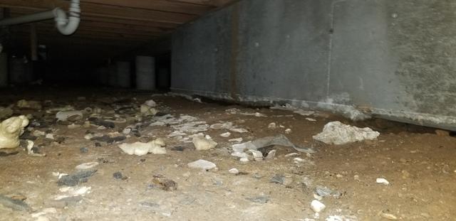 Before Crawl Space Remediation