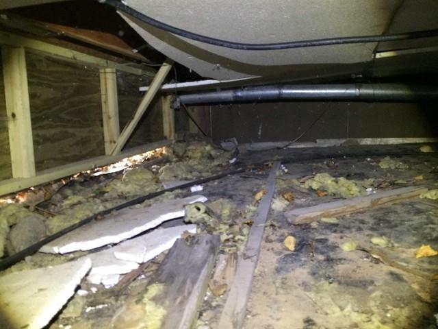 Musty Crawl Space in Saginaw