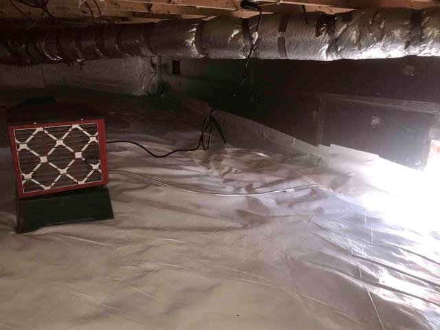 Crawl Space Dehumidifier