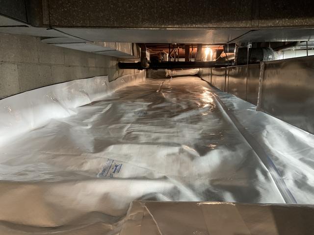 Crawling Area #2 Encapsulated