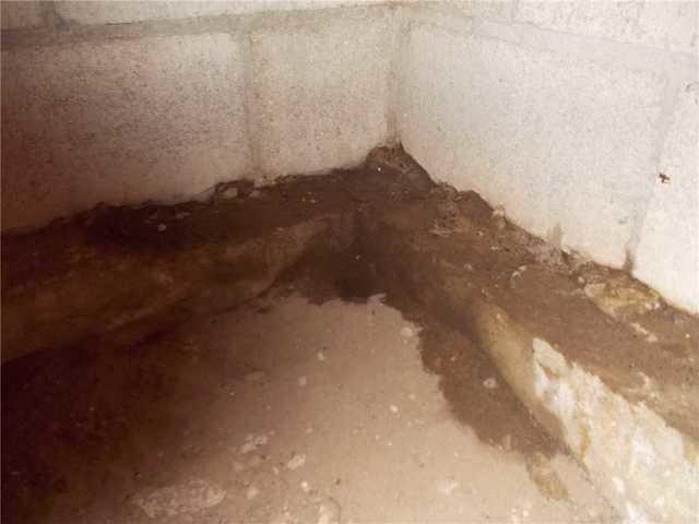 Crawl Spaces Have Dirt Floors