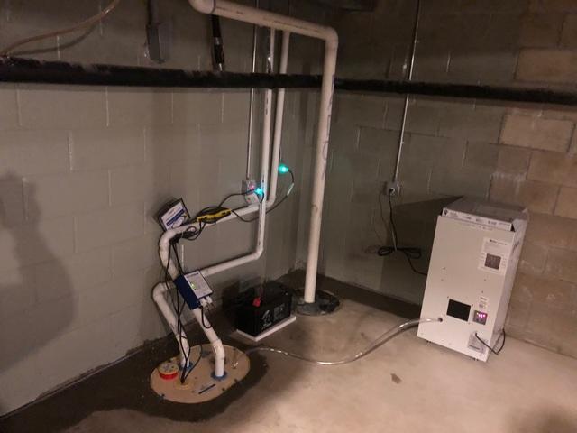 TripleSafe Sump Pump and SaniDry