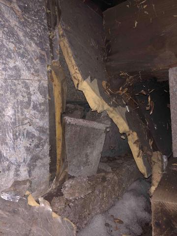 Buckling Materials in Crawl Space