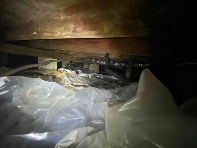 The current vapor barrier that was in the crawl space was not doing its job, hence how the water and mold got in there in the first place.