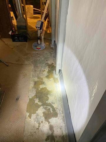 Basement Waterproofing