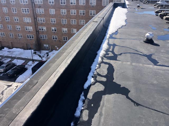 The turkey vultures were roosting on the perimeter ledge as well as on the exhaust fans. Their droppings and roosting patterns were causing extensive damage to the roof.