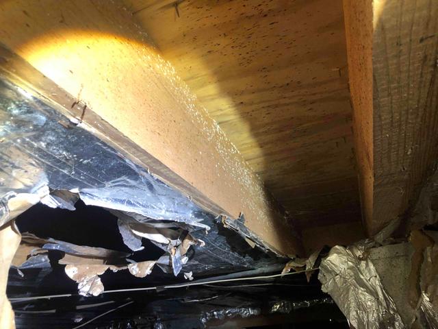 Mold and Mildew Growth