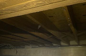 The radiant barrier has been removed from the floor joists and the mold and mildew have been treated or remediated using an antimicrobial, called Shockwave. However, mold and mildew can grow back if the environment and relative humidity are not controlled.