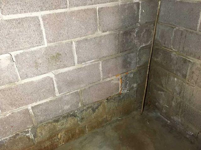 Damp Basement Foundation