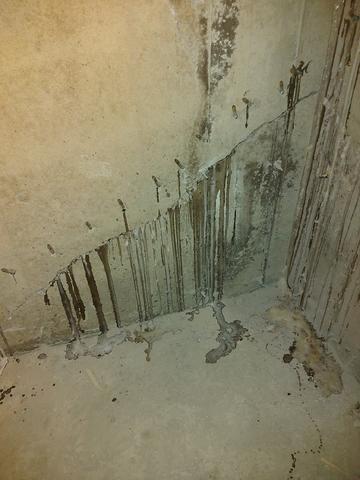 Fissures dans la fondation