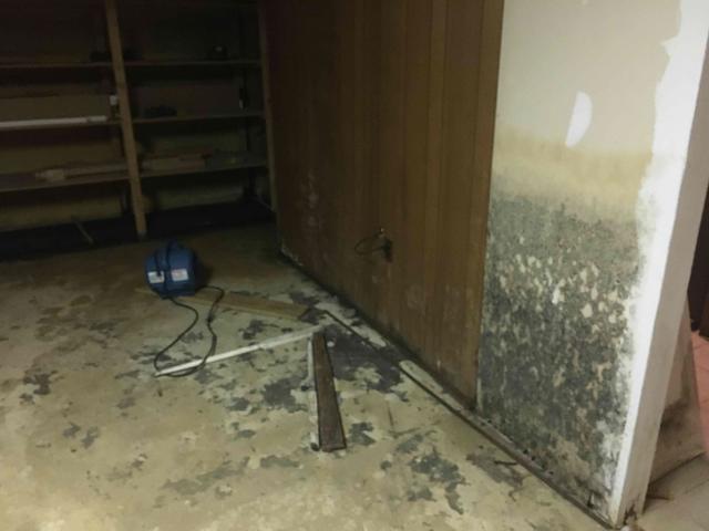 This damp basement can easily attract mold growth, pests, and moisture.