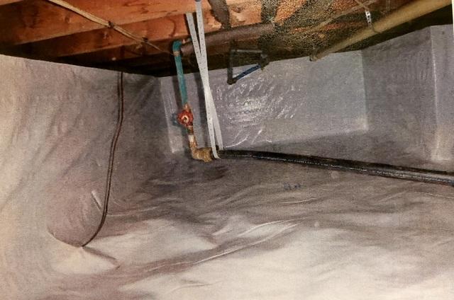 CleanSpace Encapsulation