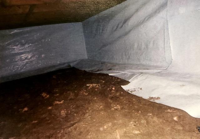 CleanSpace Encapsulation