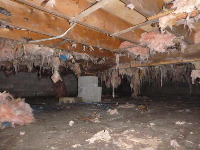 CleanSpace Encapsulation (Before)