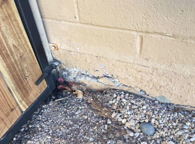 Cracking & Flaking Concrete