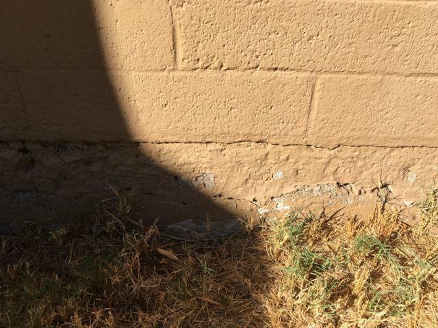 Cracks & Flaking Paint