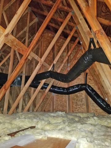 Mold Removal Part 2: MAPS 2