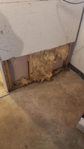 Before TBF of WNY Started Working On The Basement