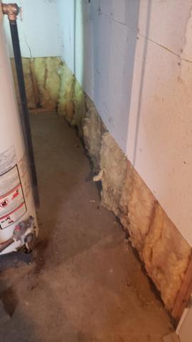 Before TBF of WNY Started Working On The Basement