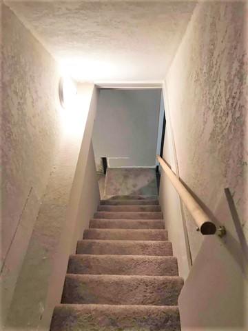 Carpeted Stairs Must Go!
