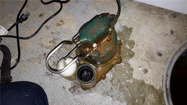 Zoeller Cast Iron Sump Pump Cleaning