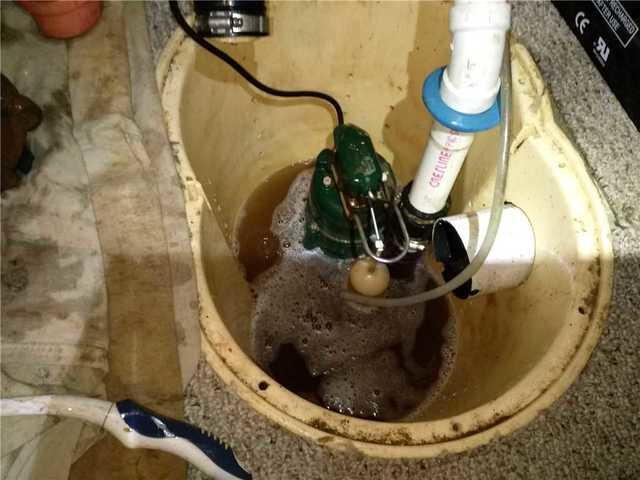 Annual Maintenance