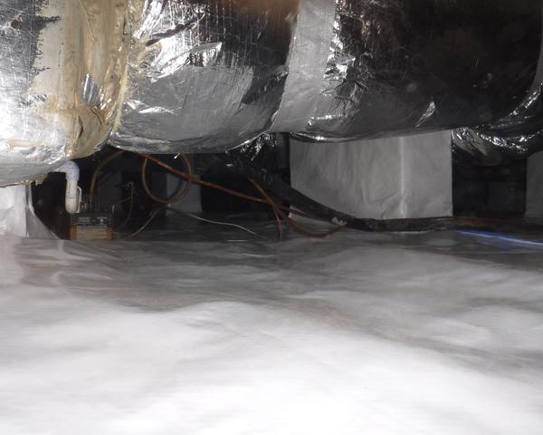 Prevent Pest Population in the Crawl Space