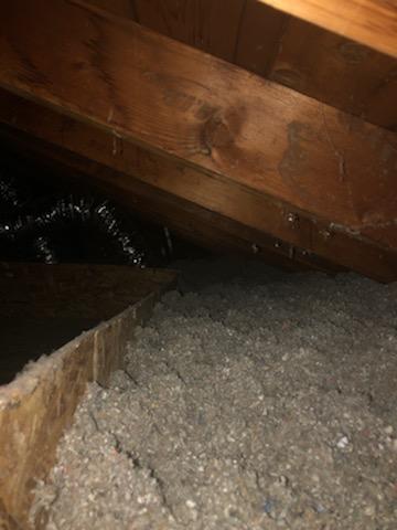 Attic Insulation- East Northport, NY