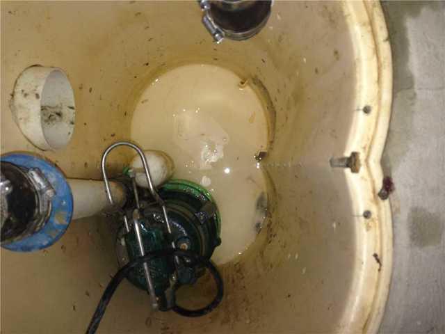 Sump Pump Cleaning