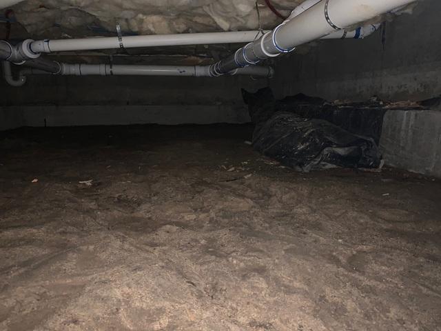 McCall Crawlspace