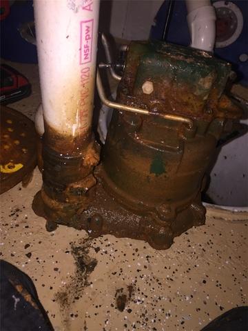 Sump Pump Care