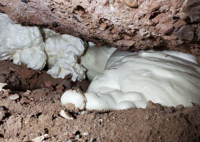 PolyLevel® Mid Injection