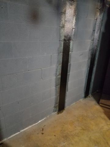 Protective Carbon Fiber Strips