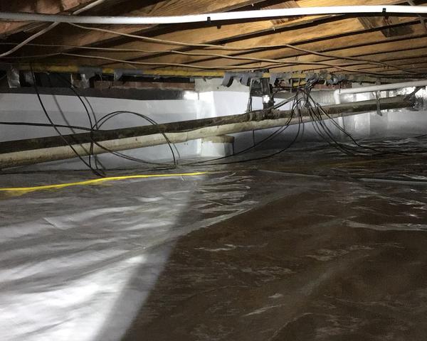 Getting Rid of Pesky Pest