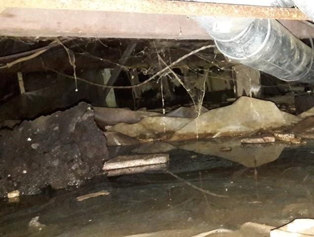 Water in Crawlspace Contributes to Wood Rot