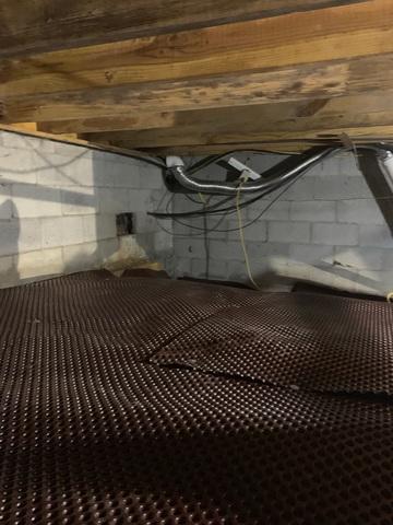 In this photo you can see the crew has leveled the crawl space and they have installed our drainage matting.