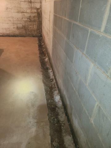 Wet and Musty Basement