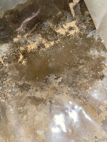 Water Beneath Plastic in Crawl Space