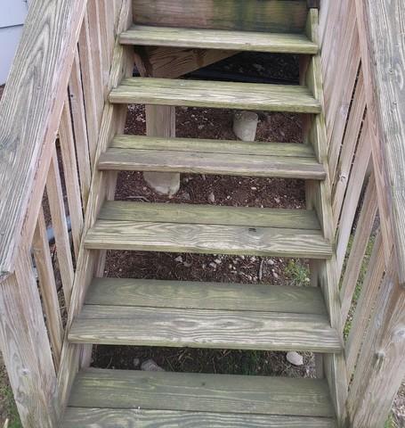 Moldy Stairs