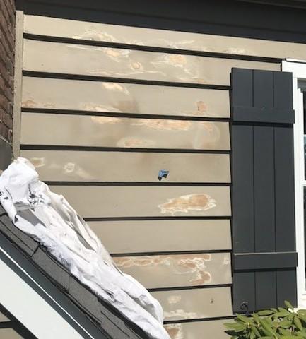 Damaged Siding