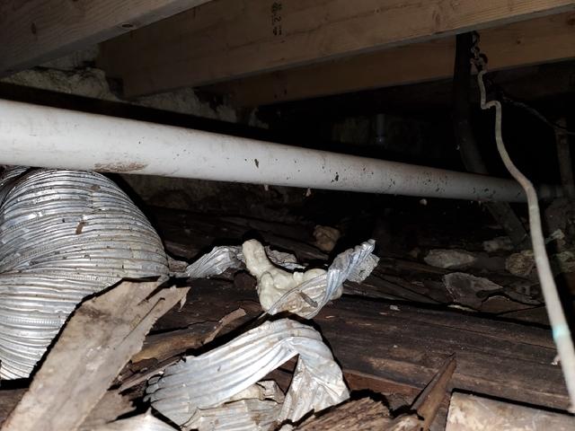 Nasty Crawl space in Superior, WI