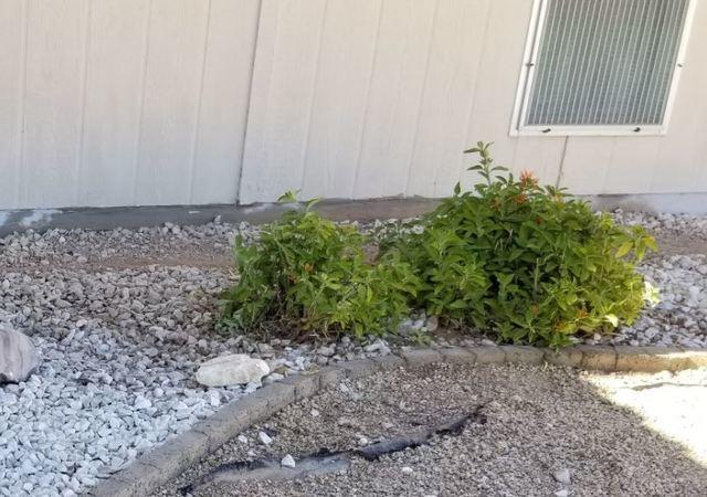 Stem Wall Repair - After
