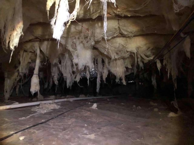 Falling Insulation