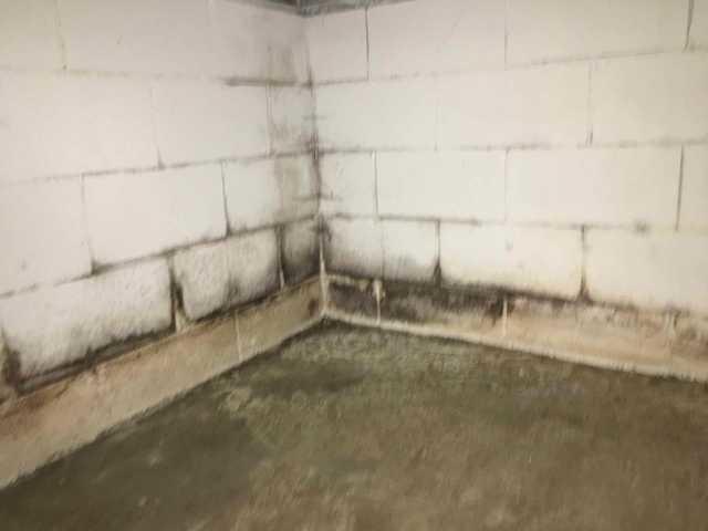 Before Waterproofing