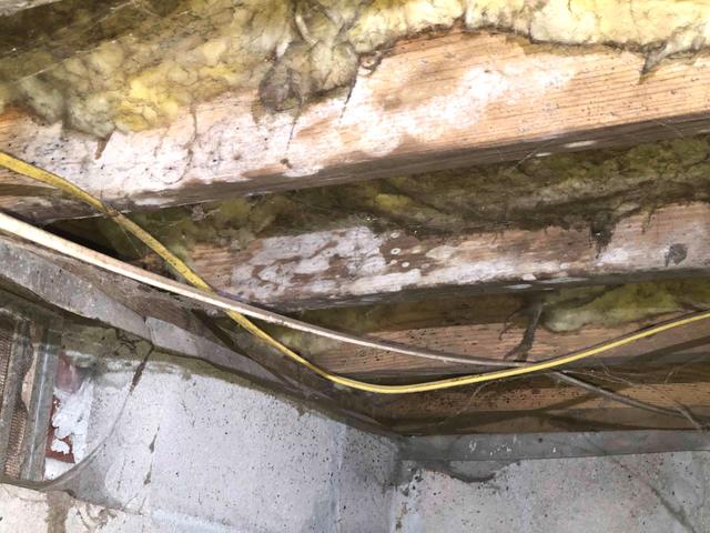 Mold and Mildew on Floor Joists