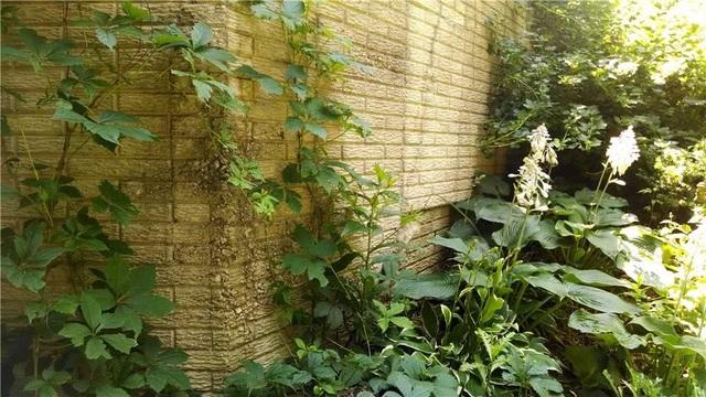 This photo shows the effect the street creep has taken on the wall, fracturing it near the bottom. 