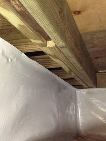 The vapor barrier is essential for preventing excess moisture from entering the space and causing mold growth.