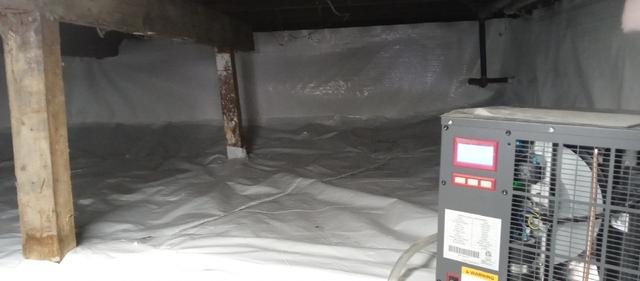 Crawl Space Dehumidifier